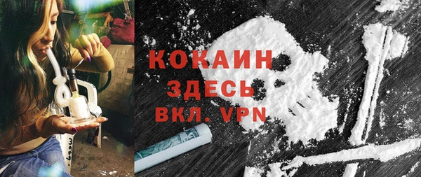 индика Абаза