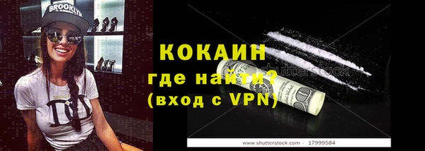 индика Абаза