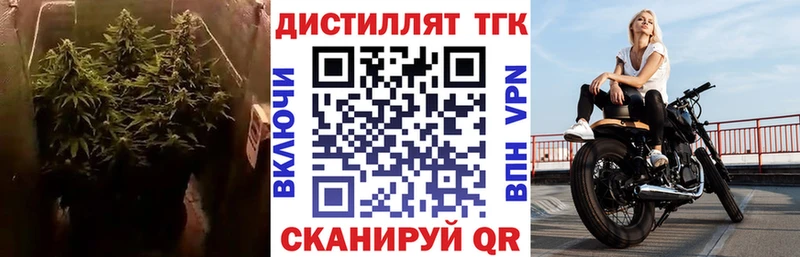 ТГК Wax  Казань 